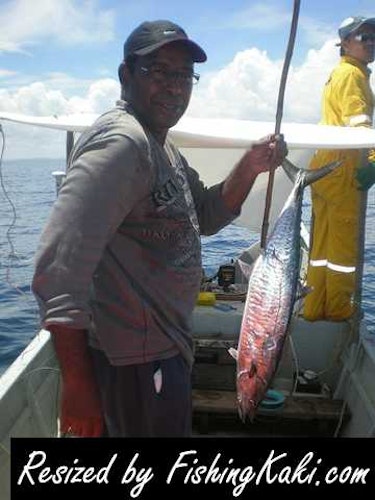 Download Miri Inshore Catch 3 Apr Fishingkaki Com Desktop Wallpaper Free Wallpaper Miri Inshore Catch 3 Apr Fishingkaki Com Desktop Wallpaper