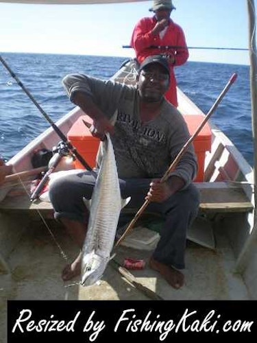 Download Miri Inshore Catch 3 Apr Fishingkaki Com For Free Get Wallpaper Miri Inshore Catch 3 Apr Fishingkaki Com Desktop Wallpaper